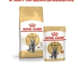 ROYAL CANIN British Shorthair Adult száraz macskae