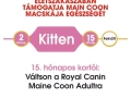 ROYAL CANIN Maine Coon Kitten száraz macskaeledel