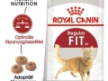 ROYAL CANIN Fit száraz macskaeledel