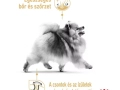 ROYAL CANIN Pomeranian Adult száraz kutyaeledel